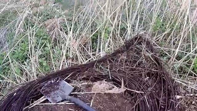Копаем металл на УЖД с тх 850 смотреть онлайн