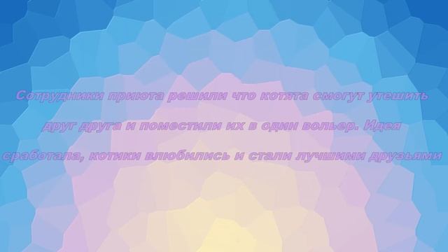 Когда Смурфа нашли он был весь в краске, с ранами и весил 400 грамм смотреть онлайн