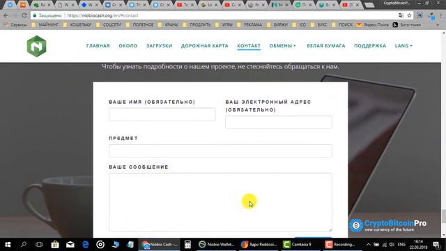 #NIOBIO CASH FAUCET ¦ БРАЗИЛЬСКАЯ НАЦИОНАЛЬНАЯ КРИПТОВАЛЮТА смотреть онлайн