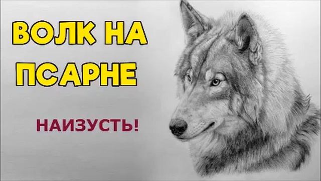 ВОЛК НА ПСАРНЕ / басня / УЧИМ НАИЗУСТЬ / ВО СНЕ / ИВАН КРЫЛОВ смотреть онлайн