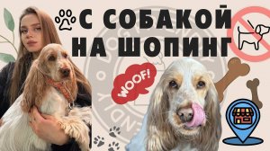 🐶С СОБАКОЙ В МАГАЗИН|НАС НЕ ПУСТИЛИ ❌