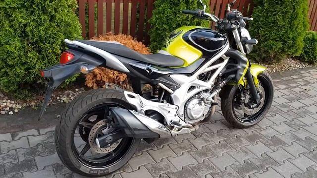 Suzuki SFV 650 Gladius Original Exhaust Sound