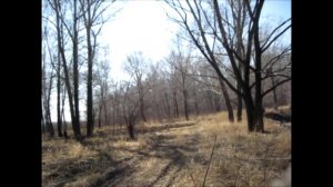 Разведка налима на реке Алей весной !