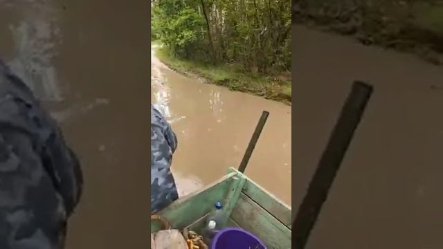 Мотоблок Zubr лучше любого вездехода. Едем по чернику и грибы. Лесная дорога смотреть онлайн