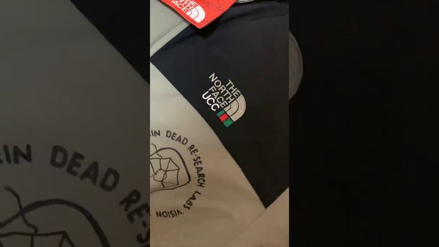 Куртка евро зима TNF GUCCI смотреть онлайн