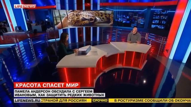 Александр Кулагин о Памеле Андерсон и других псевдозоозащитниках смотреть онлайн