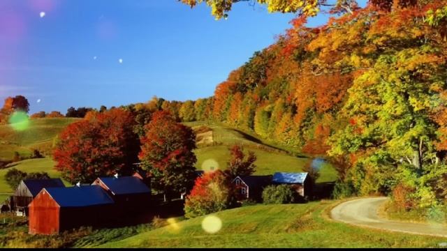 Жизненные истории. Не скажу, что мы с мужем были рады этому браку, но....Истории из жизни