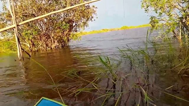 sadisnya strike baung super besar...kayak monster..........!!! смотреть онлайн