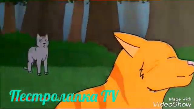 Ежевика и Белка коты воители. смотреть онлайн