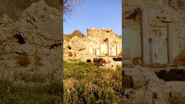 12.Церковь Санта Мария Виридис. Национальный парк Ашкелон. смотреть онлайн