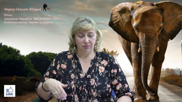 Завершение Марафона "ВЕСЕННИЙ ЗАБЕГ" смотреть онлайн