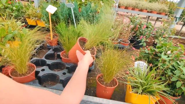 VLOG: БУДЕТ ОЧЕНЬ АТМОСФЕРНО! ДАВНО ХОТЕЛИ ТАК СДЕЛАТЬ! 19.06.23 смотреть онлайн