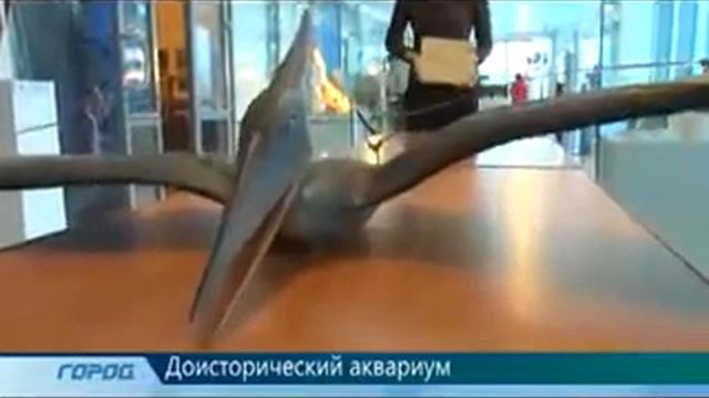 kaliningrad1 смотреть онлайн