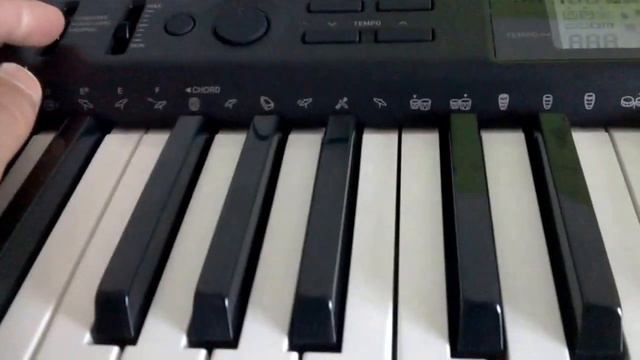 Casio CTK-1100 Review