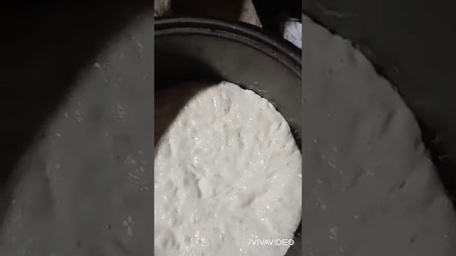 Ранетки внутри, хлеб с ранетковой начинкой будет через два часа. смотреть онлайн