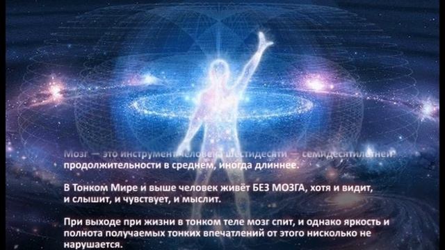Мозг человека смотреть онлайн