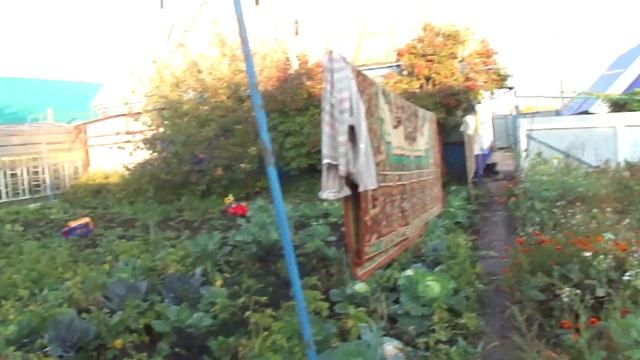 Копаем картошку,собираем урожай,смотрим на луну...... смотреть онлайн