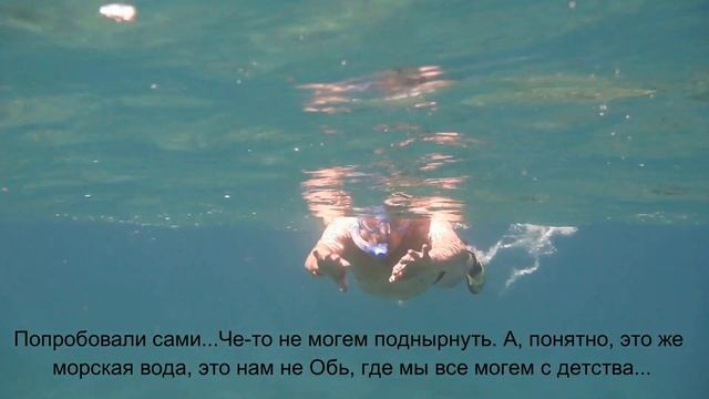 Египет. Залив Abu Dabbab. 22.11.2021. Морская черепаха.