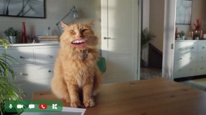 Гипермаркет “Карусель“ Коты