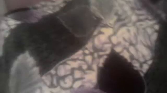 Мае новае покрывало на диван. смотреть онлайн