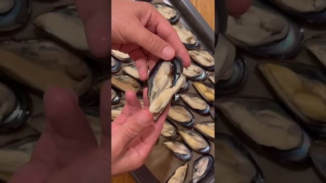 Запечённые мидии-это бомба? #Накухнеуиванасоловьева смотреть онлайн