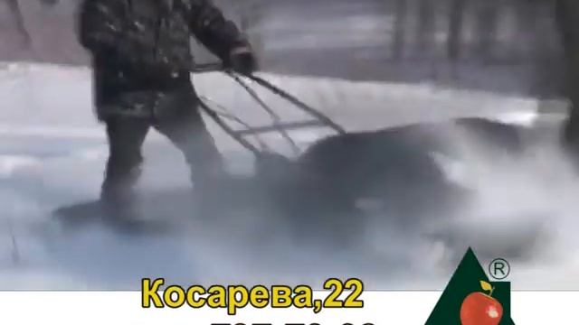 ДСОмотофишки смотреть онлайн