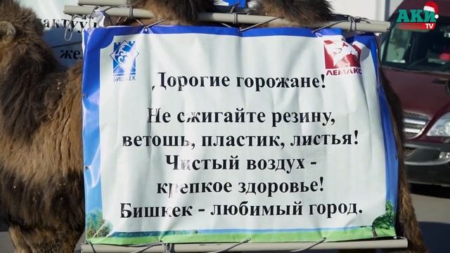 Караван верблюдов против смога смотреть онлайн
