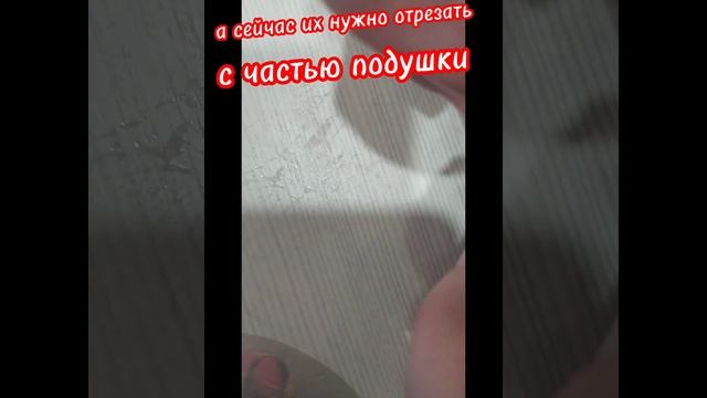 туториал на дакимакуру смотреть онлайн