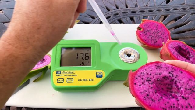 K2 aka 'The Wrong Maria Rosa' DRAGON FRUIT TASTING and REVIEW / GUESS the BRIX? / Amazing Flavor смотреть онлайн