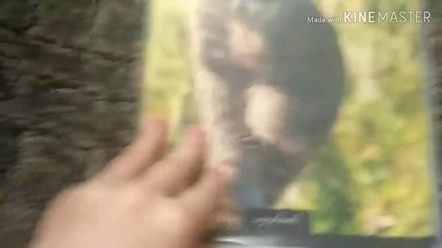 Что в моём шкафу??? Отдам бесплатно... смотреть онлайн