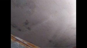 В одиночку побелил потолок в квартире без мусора и пыли, без перестановки мебели  Своими руками