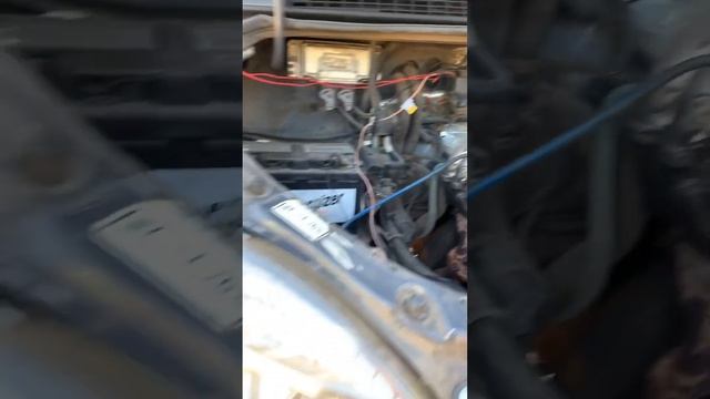 Газель не забыта уже скоро финал смотреть онлайн