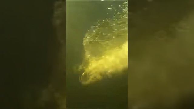 Дмитрий Васюков/Счастливые люди смотреть онлайн