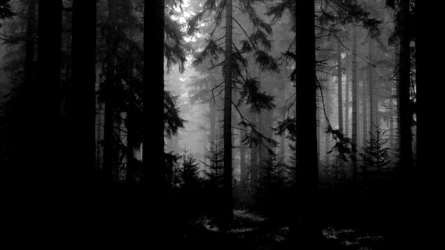 Nove Dawn - Mérovée смотреть онлайн