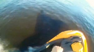 Обзор гидроцикла Brp sea -doo rxp 260 RS 260 л.с