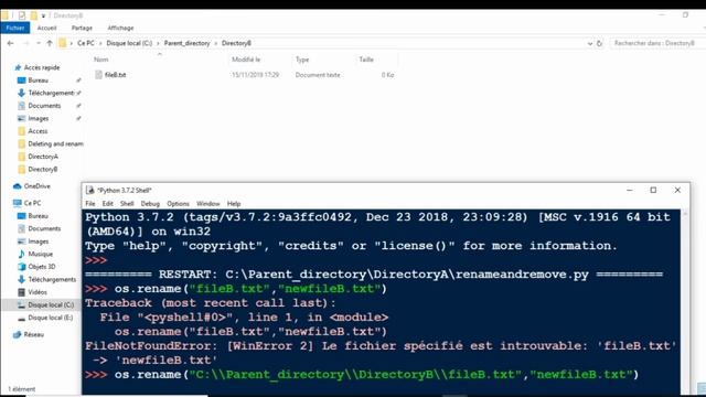 Renaming and deleting files in Python смотреть онлайн