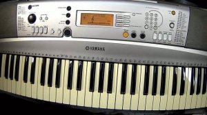 YAMAHA PSR-e313 (DEMO songs) part 2/3