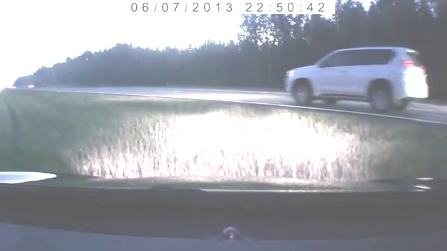 Лось на дороге смотреть онлайн