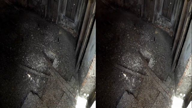 павелец и катино 3d stereoscopic смотреть онлайн