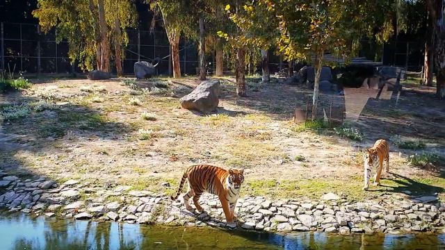 НАШИ БУДНИ ✅️ ТУРЦИЯ ИЗМИР ноябрь 2022 смотреть онлайн