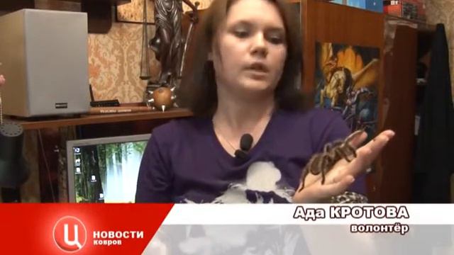 Ковровские волонтеры