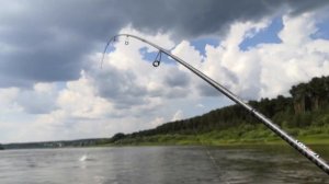 ЯЗЬ - что за рыба и как ее ловить