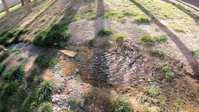 Ruta 40,,Conocemos La Poma,de yapa camping gratis🤩 смотреть онлайн