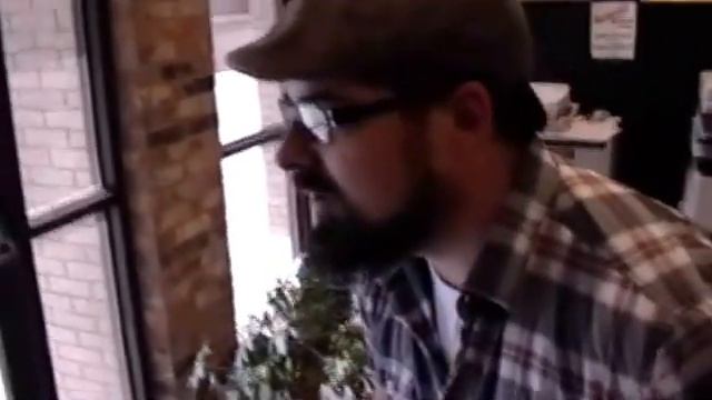 Edge of of insanity смотреть онлайн