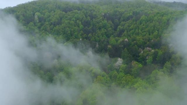 Glamping в Сочи смотреть онлайн