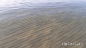 Отдых в Геленджике. Пляж санатория "Русь". Обзор.