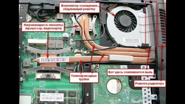 Сильно греется ноутбук смотреть онлайн
