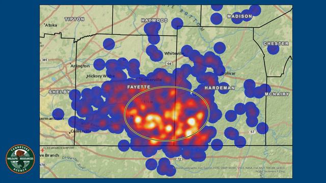 An Update of Chronic Wasting Disease (CWD) of Deer in Tennessee смотреть онлайн