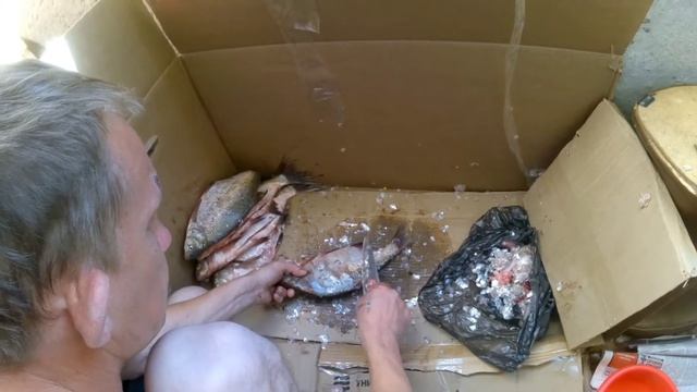 ЛЕЩ ЧИСТИМ РЫБУ ЛЕЩА на балконе без чешуи. смотреть онлайн