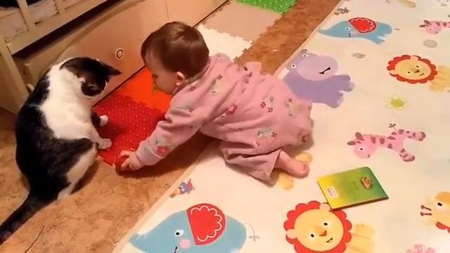 Сделай Сам на 100%